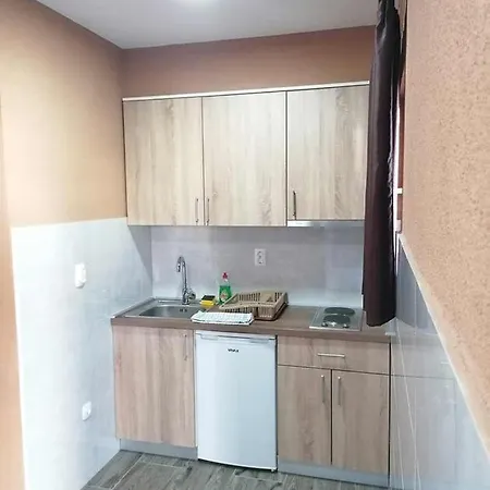 Babic Guest house *